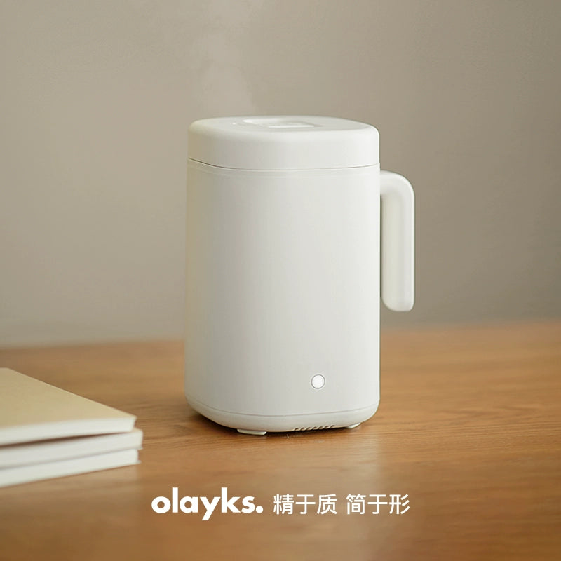 olayks instant mini rice cooker