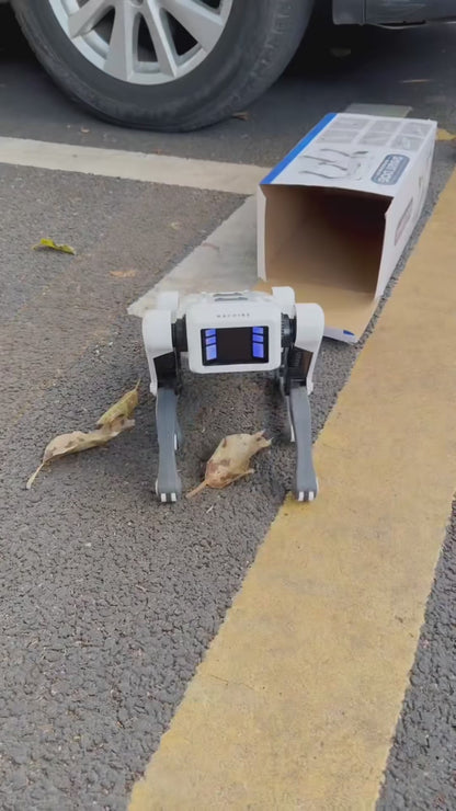 CNGM Robot Dog: AI-Powered Smart Remote Control